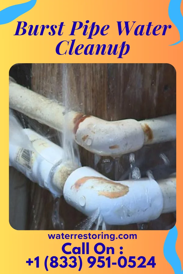 Burst Pipe Water Cleanup in Galeville, NY