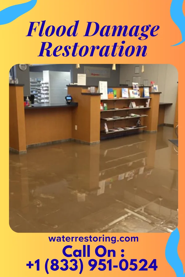 Flood Damage Restoration in Galeville, NY
