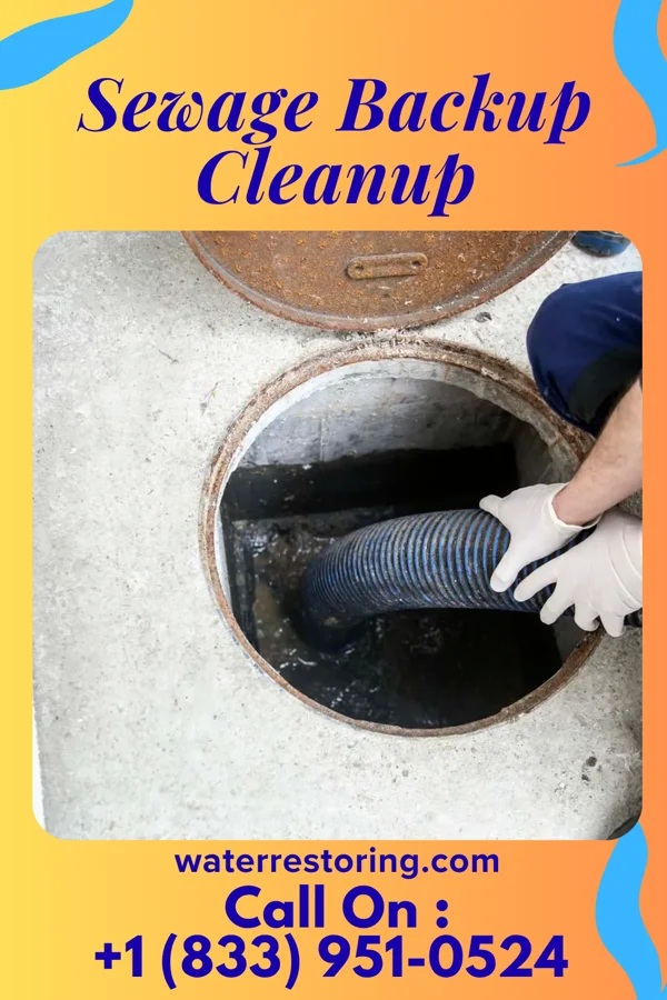 Sewage Backup Cleanup in Galeville, NY