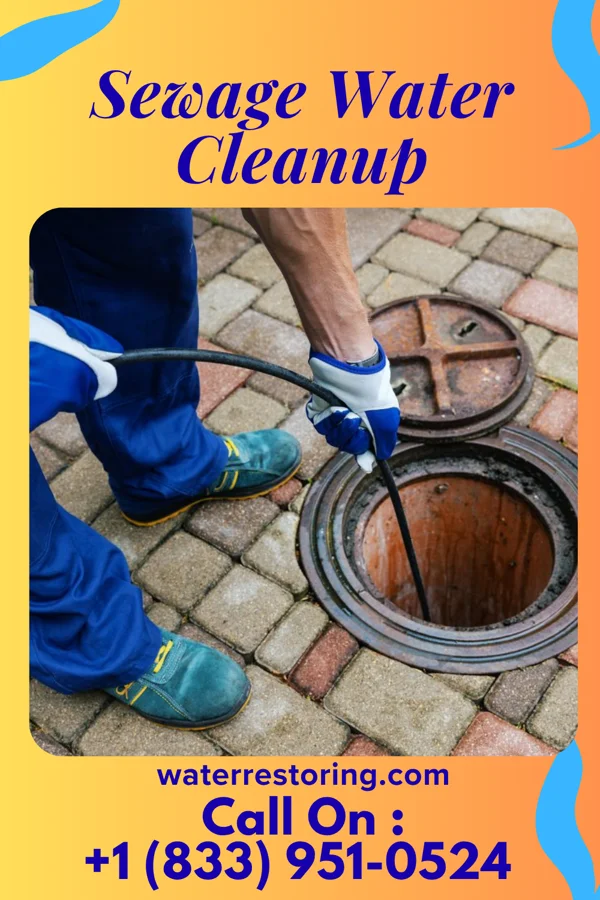 Sewage Water Cleanup in Galeville, NY